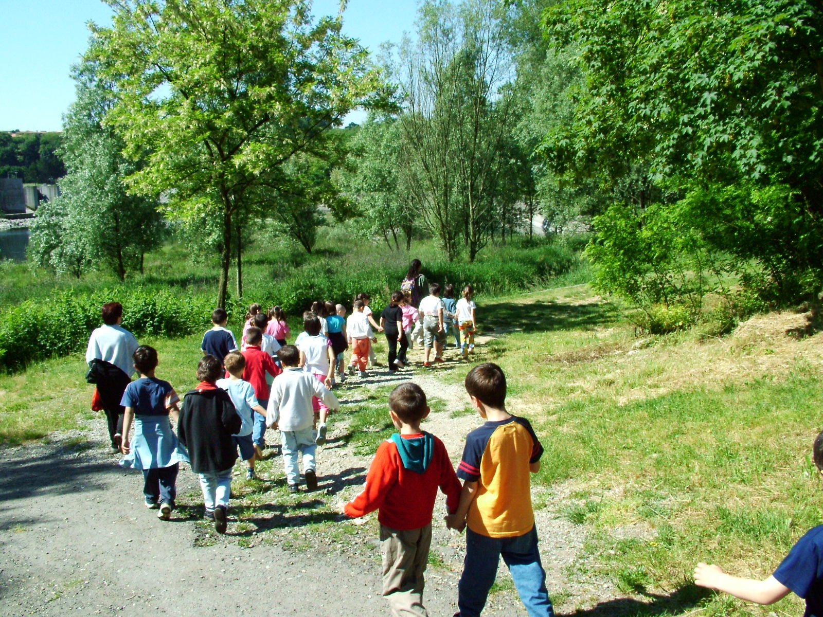 Scolaresca